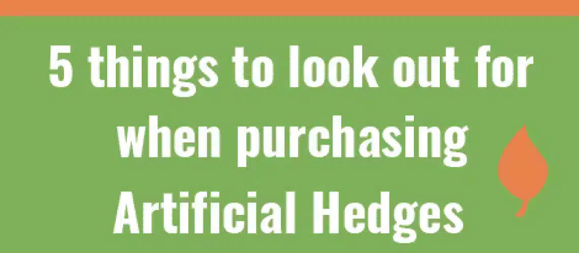 5 things to look out for when purchasing artificial hedges