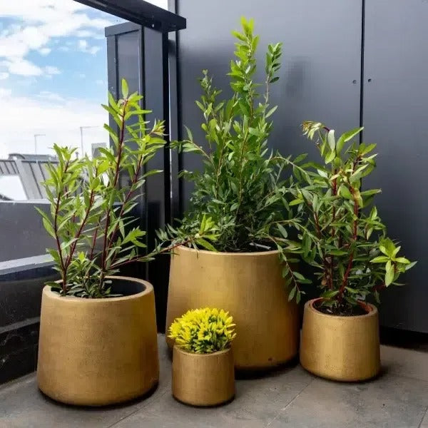How to Pot Artificial Plants Using Planters
