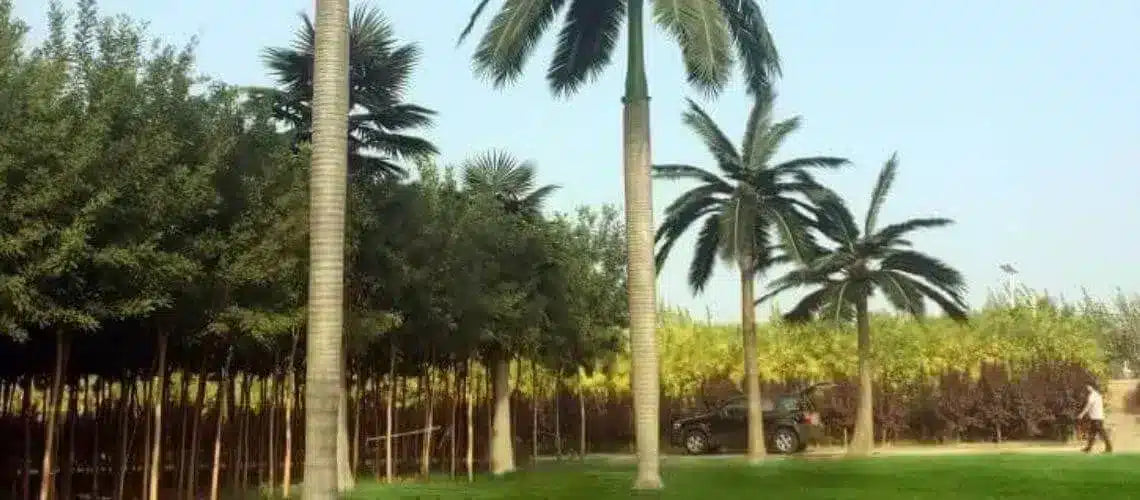 Top 5 Outdoor Artificial Trees