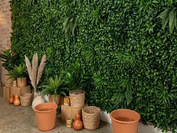 How to Fix an Empty Corner with Plants and Pots | Designer Plants