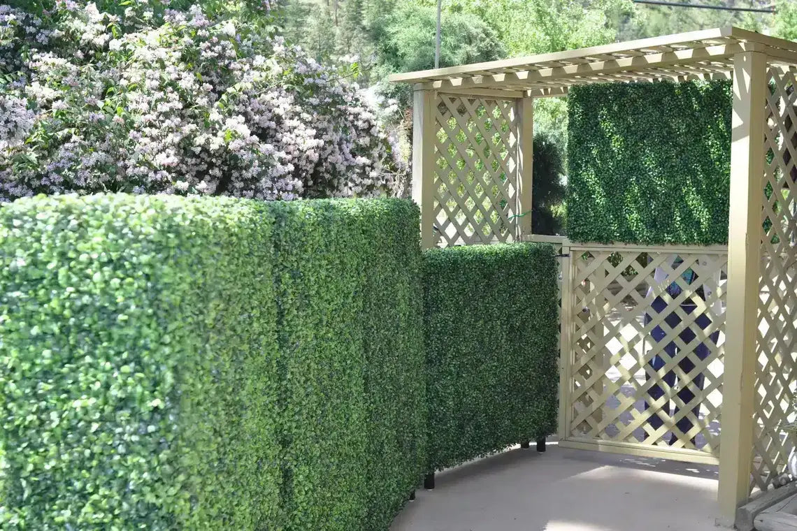 8 Spaces Where Green Walls Instantly Improve Privacy