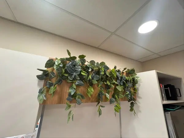 Top Hanging Plants for Australian Apartments: Real Look, Zero Upkeep