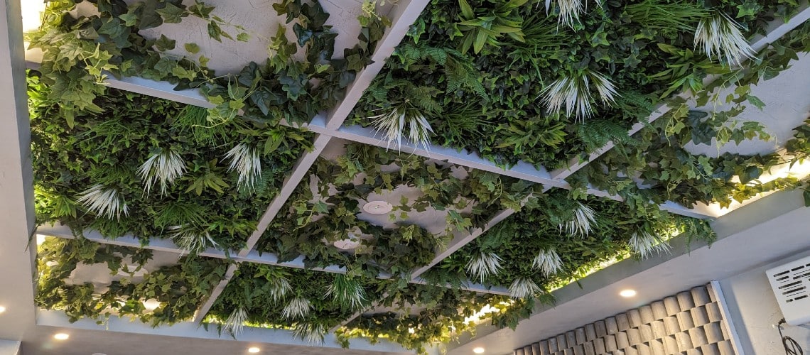 How a Beaumaris Cafe Created an Artificial Green Ceiling with Hanging Plants