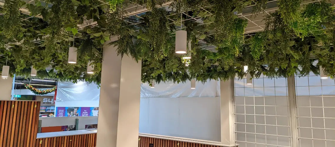 Hanging plants - inside and out