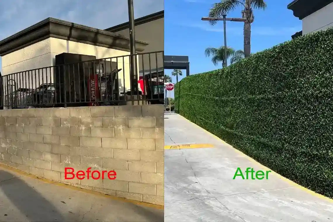 How the Artificial Jasmine Hedge Screen Enhances a Commercial Space