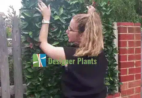 How to install artificial hedges