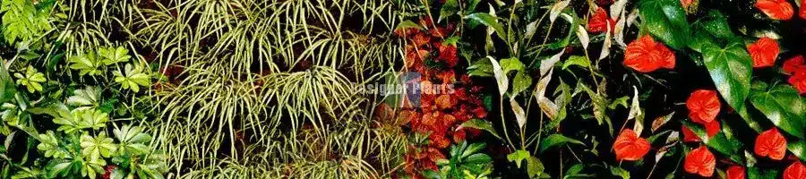 The benefits of Vertical Gardens and Green Walls