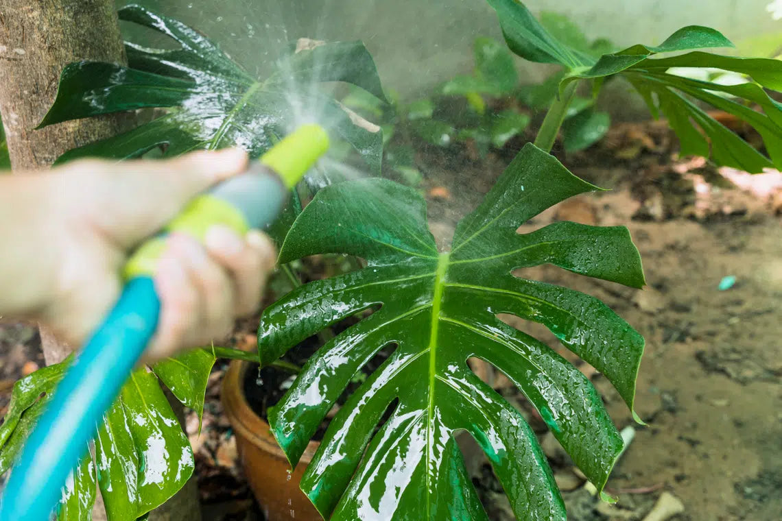 Water Conservation in Australia: How to Save Water with Fake Outdoor Plants