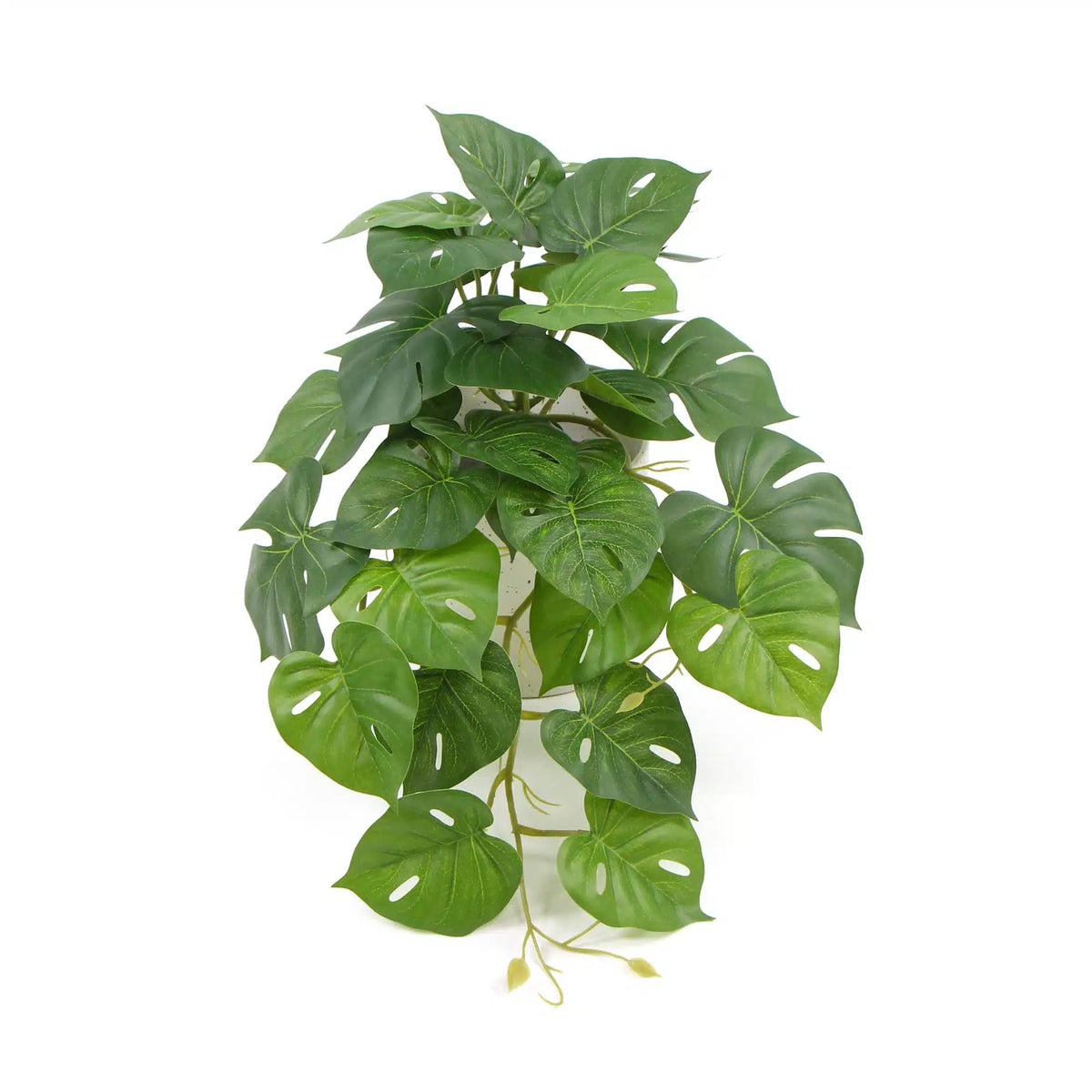 Decorative Artificial Monstera Adansonii Plant in Ceramic Bowl 30cm - Designer Plants