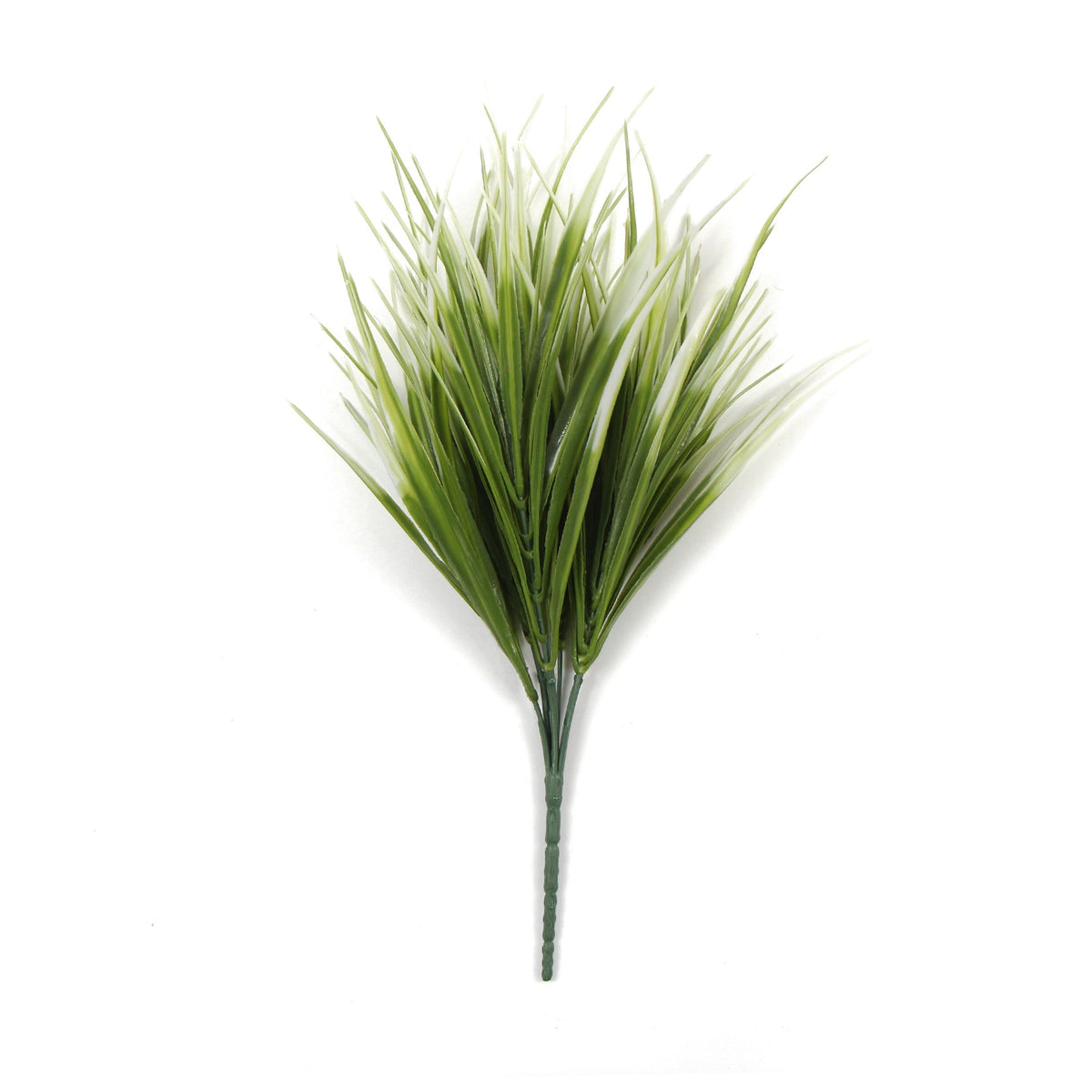White Tipped Grass Stem UV Resistant 35cm - Designer Plants