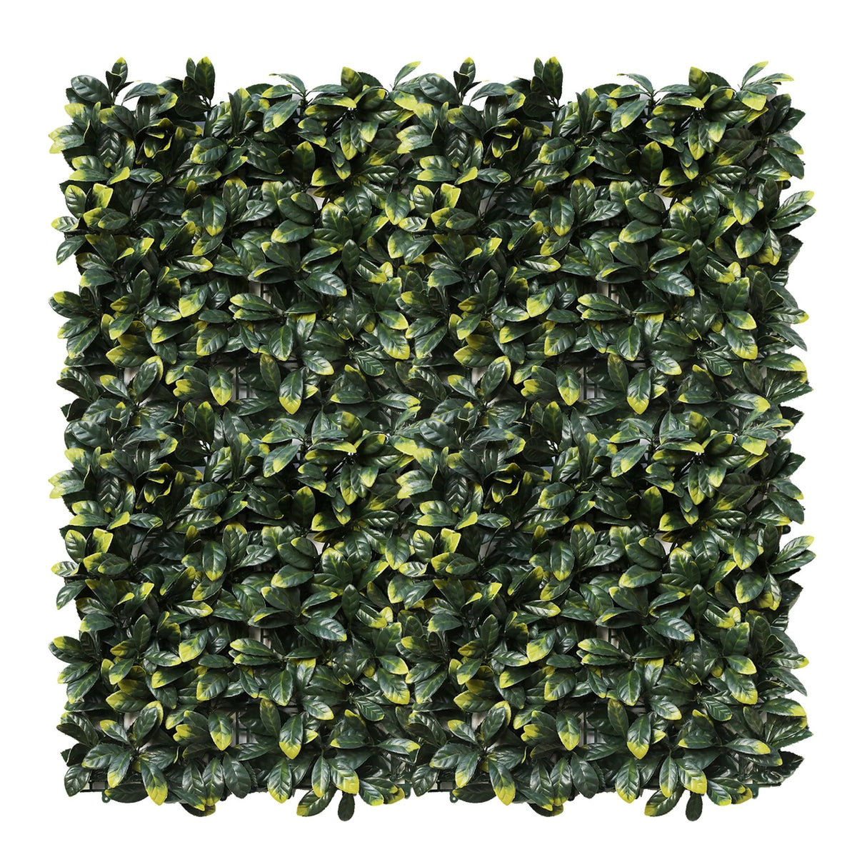 Laurel Hedge Panels UV Resistant 1m x 1m - Designer Plants
