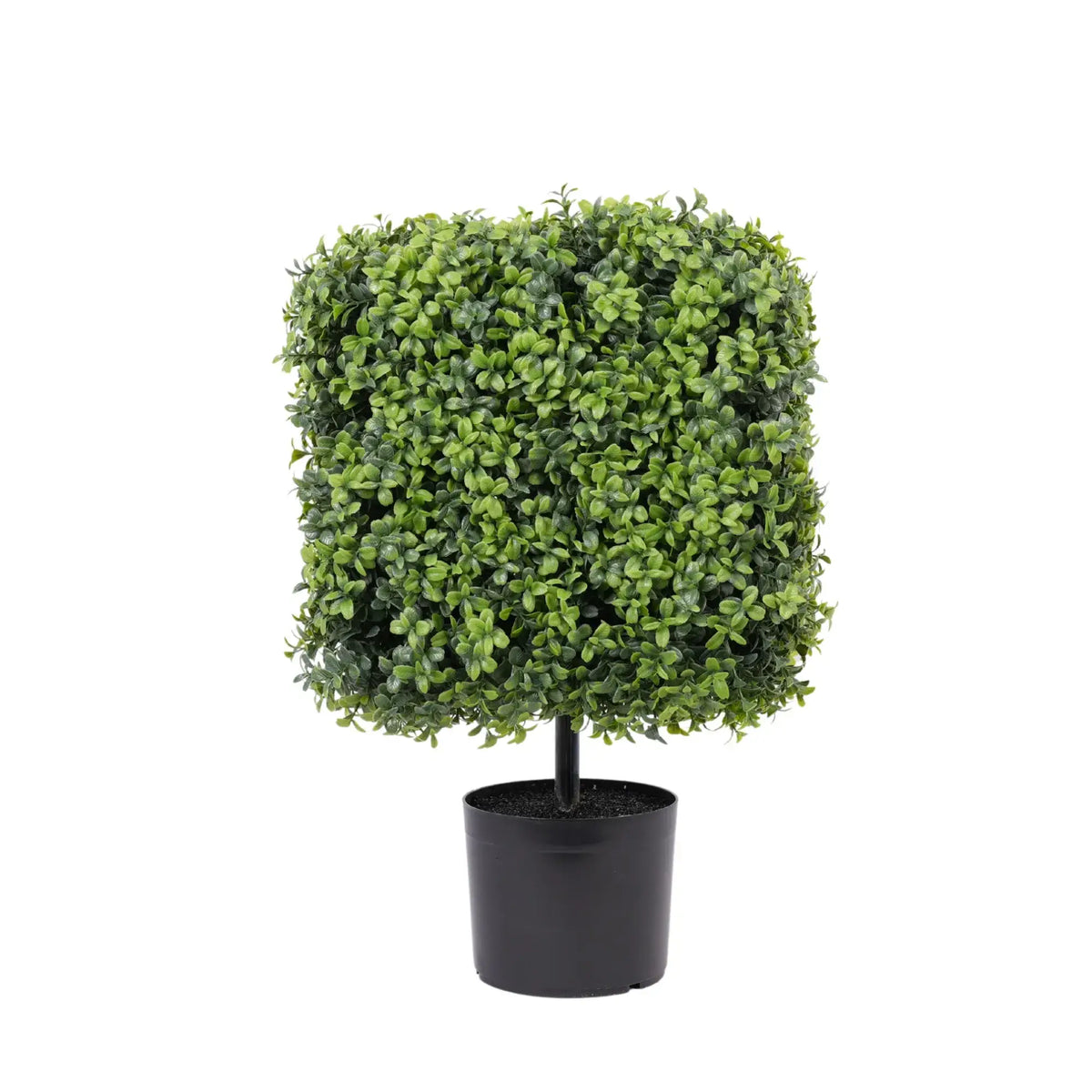 Premium Potted Artificial Square Topiary Plant 55cm UV Resistant - Designer Plants