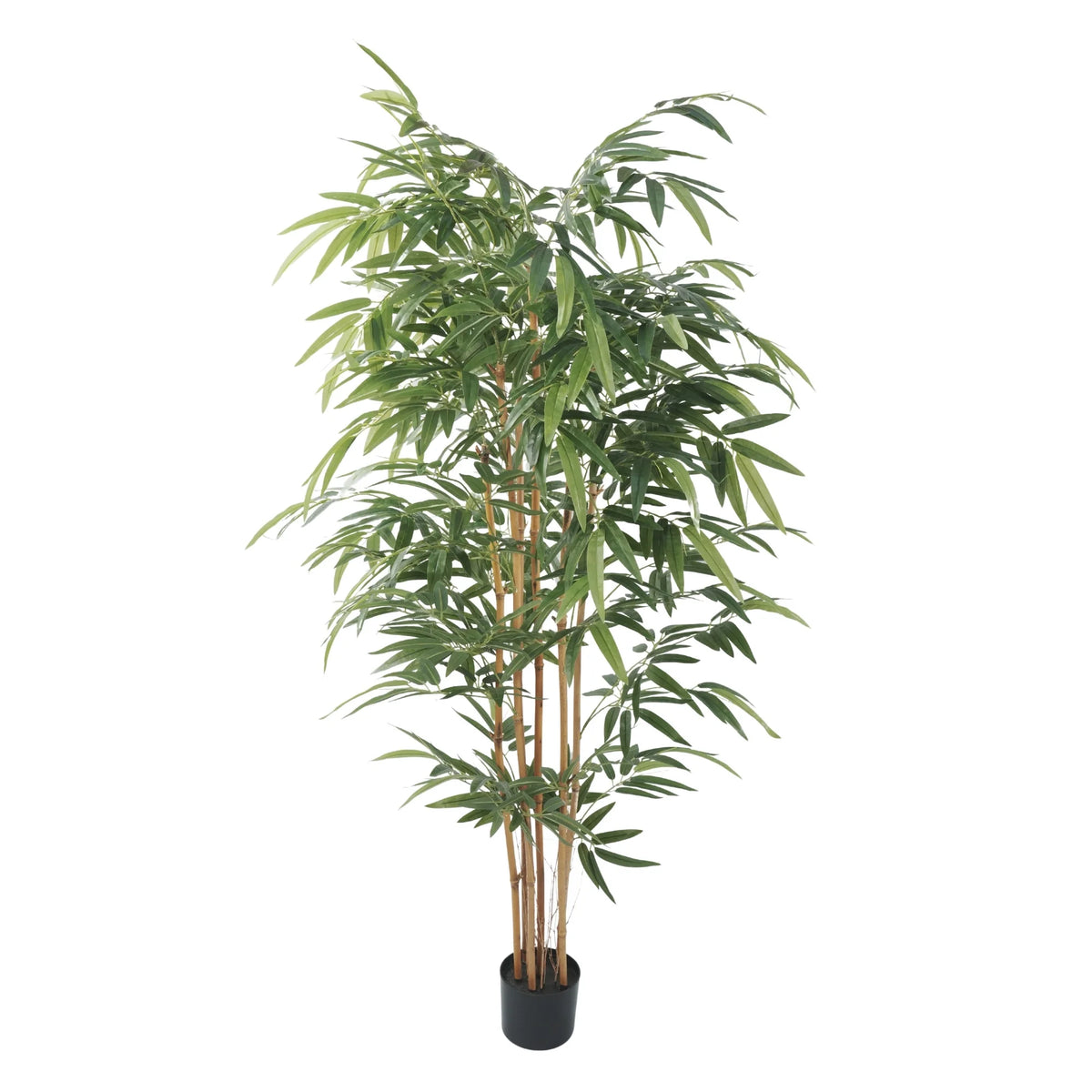 Potted artificial bamboo plant on a white background