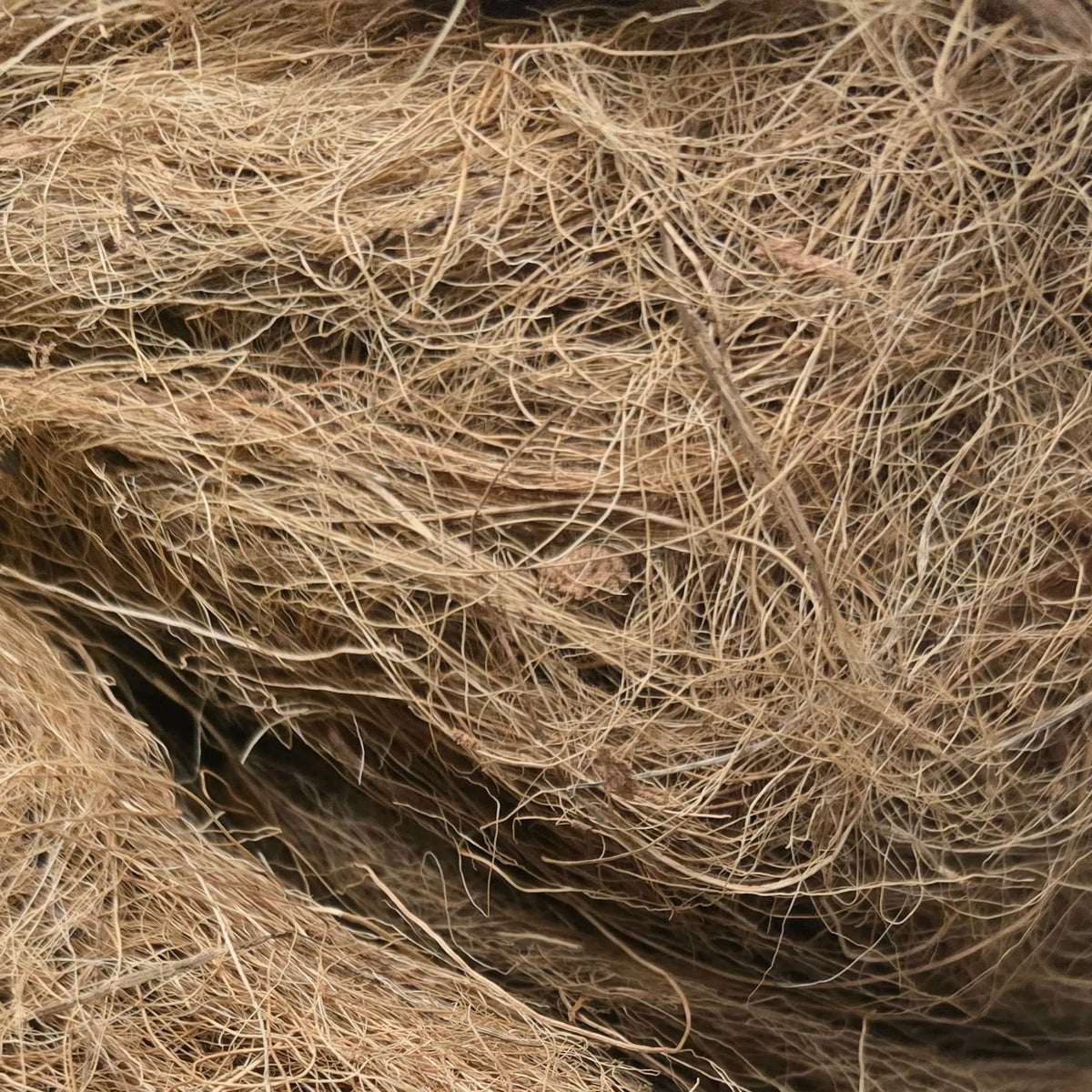 A close-up texture shot of a dense, tangled mass of natural brown coir or jute fiber.