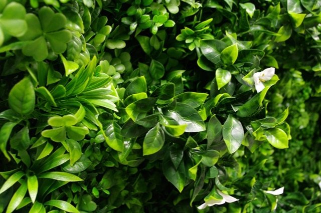Group 1 Fire Certified - Luxury White Oasis Vertical Garden / Green Wall UV Resistant 1m x 1m