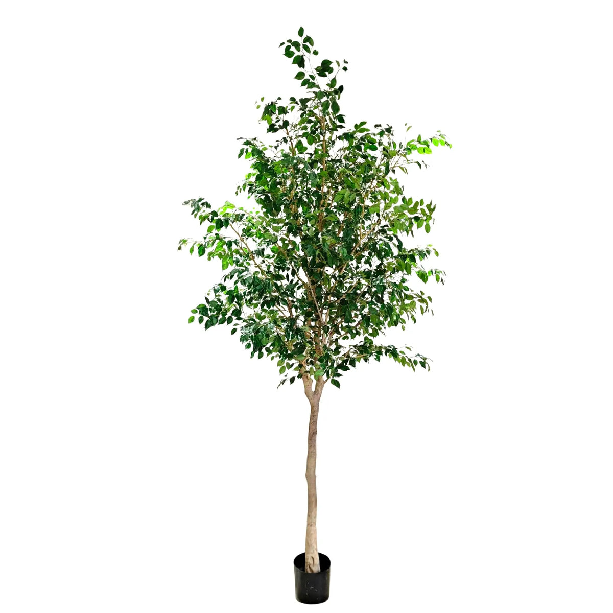 An artificial potted tree with green leaves and a light brown trunk, standing in a black plastic pot against a solid white background.