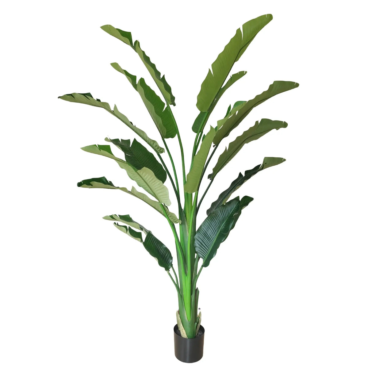 An artificial banana leaf plant in a black plastic pot, isolated on a white background.