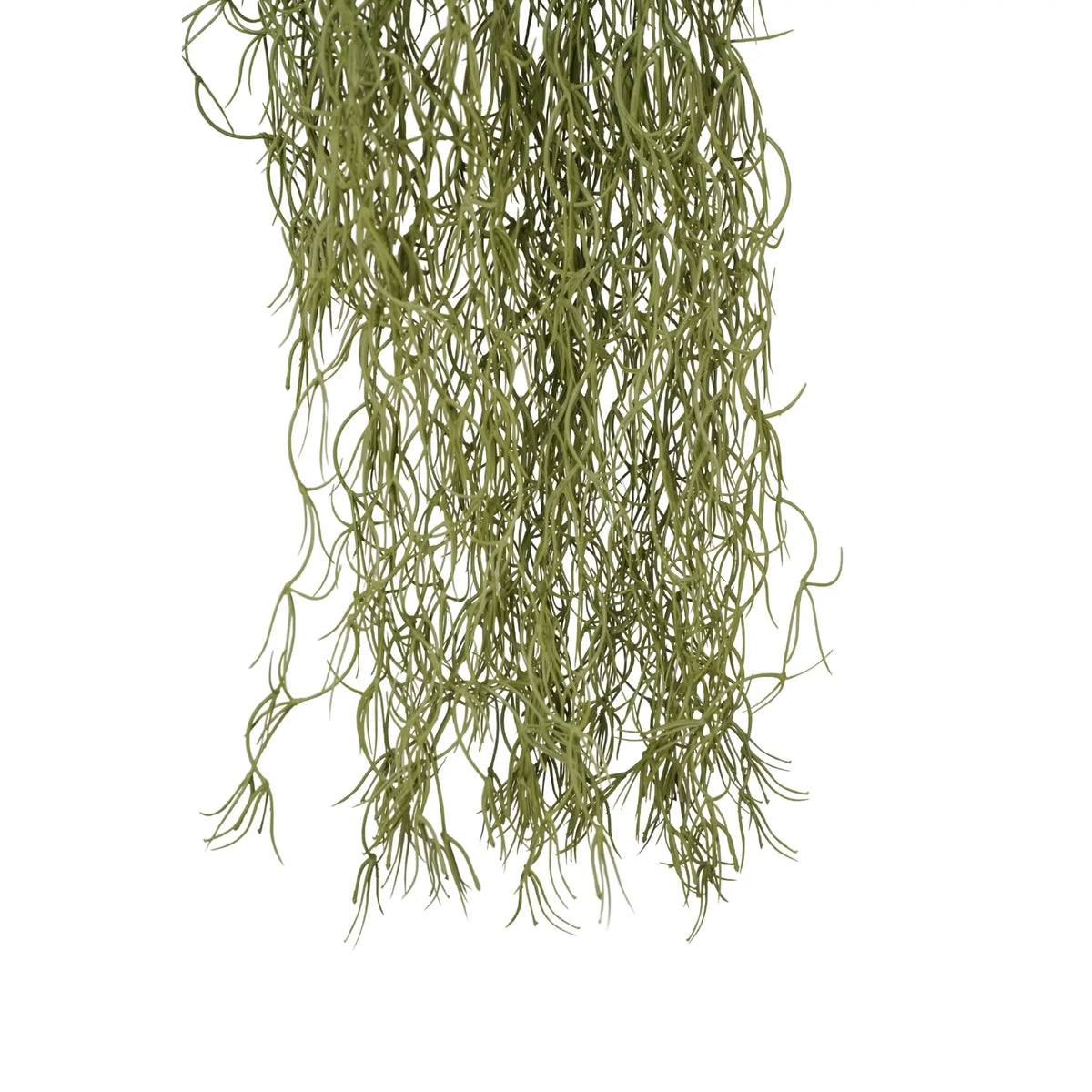 A hanging artificial green plant with long, slender, feathery strands, shown against a plain white background.