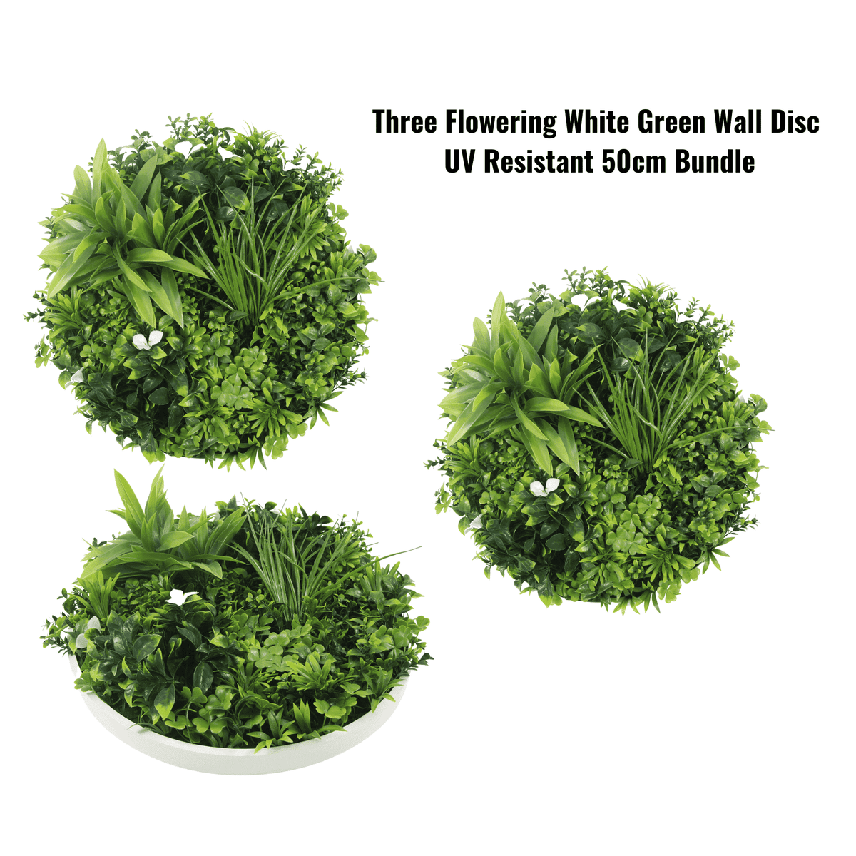 Three Flowering White Green Wall Disc UV Resistant 50cm Bundle - Designer Plants