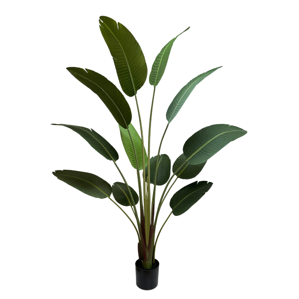 Grand Artificial Potted Travellers Palm (Banana Palm Tree) 180cm - Designer Plants