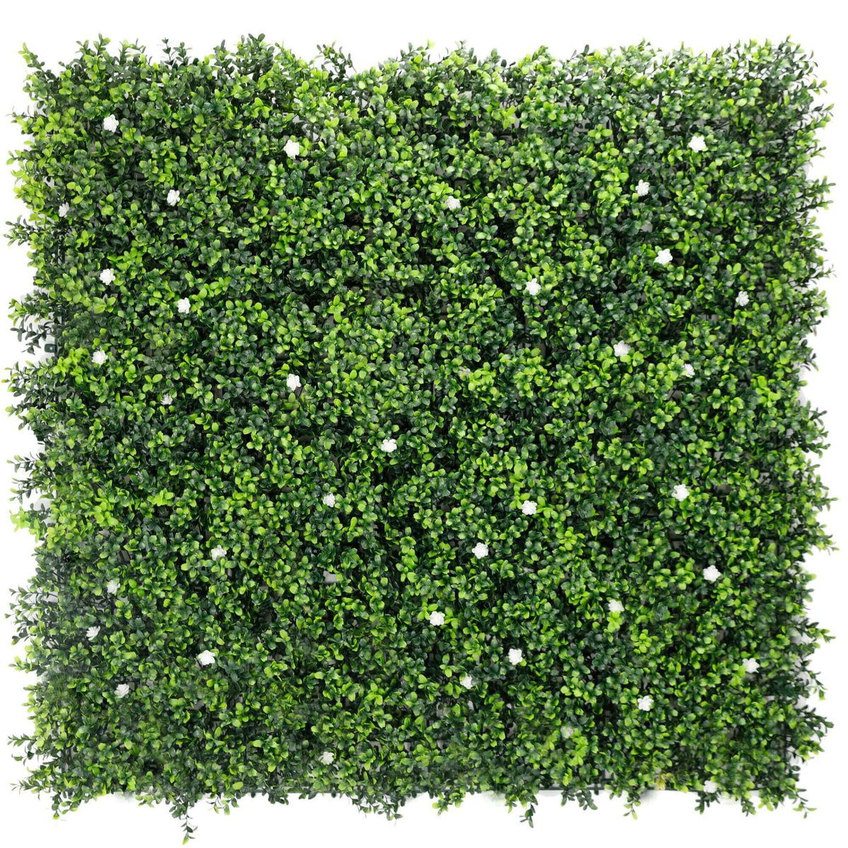 Luxury Flowering Artificial Buxus Hedge Panel UV Resistant 1m x 1m - Designer Plants