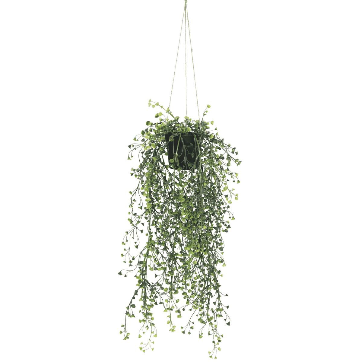 Artificial Hanging Pearls (Potted) 56cm UV Resistant - Designer Plants