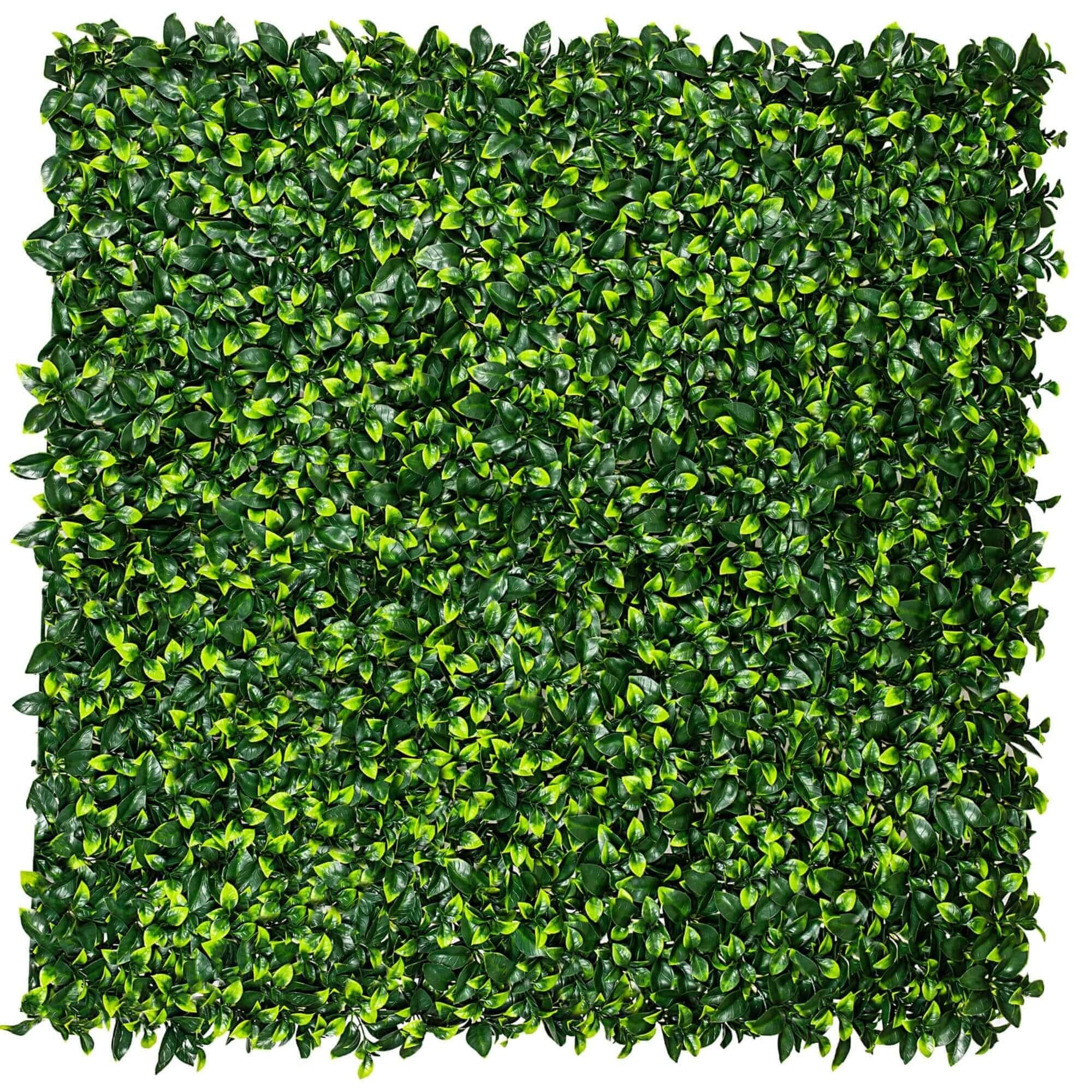 Jasmine Hedge Leaf Screens / Panels UV Resistant SAMPLE - Designer Plants