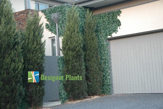 Boston Ivy Leaf Screen Green Wall Panel UV Resistant SAMPLE