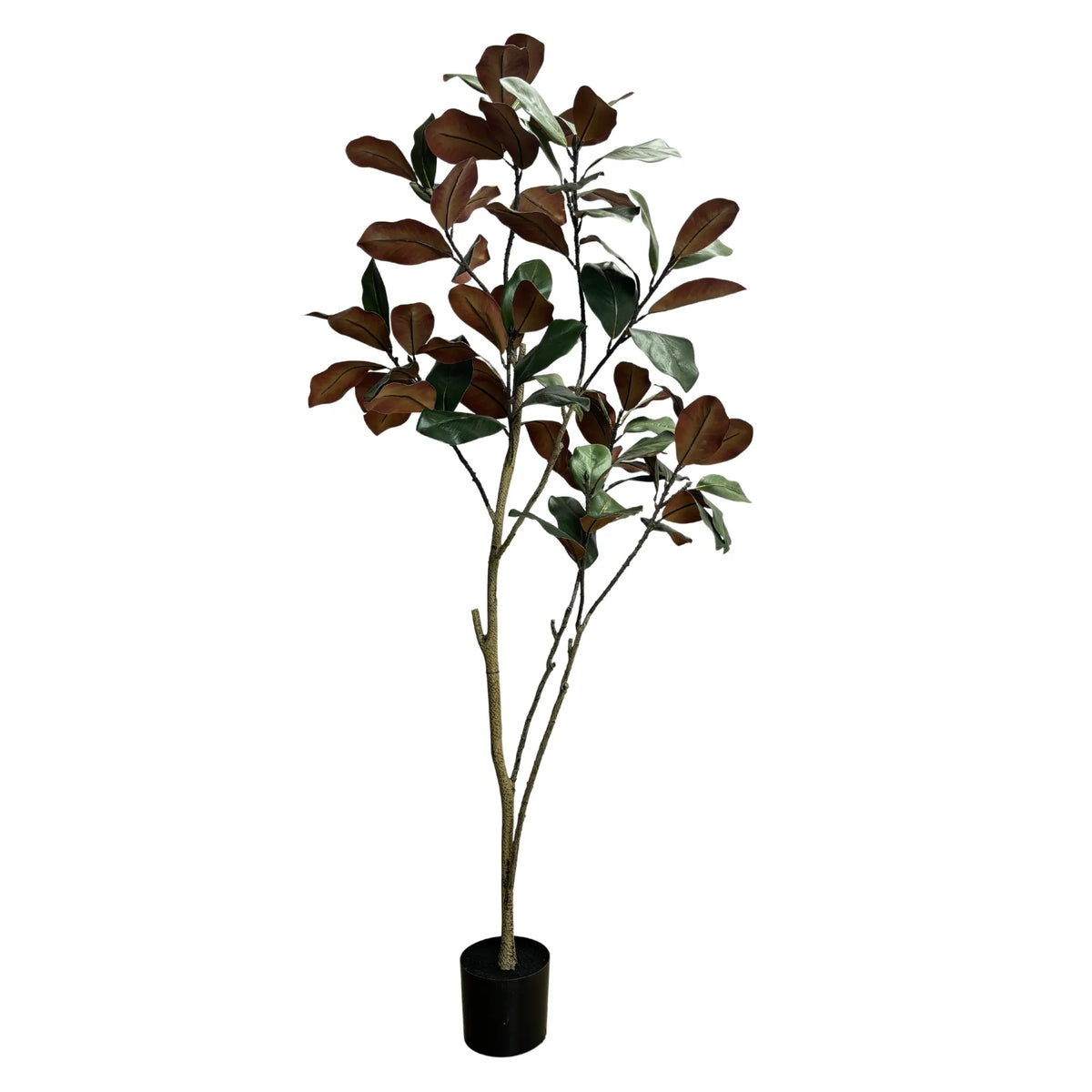 Potted Artificial 180cm Magnolia Tree - Designer Plants