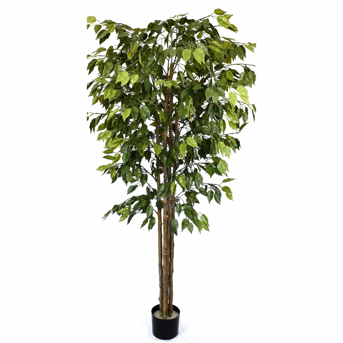 Artificial Ficus Tree 180cm Nearly Natural UV Resistant - Designer Plants
