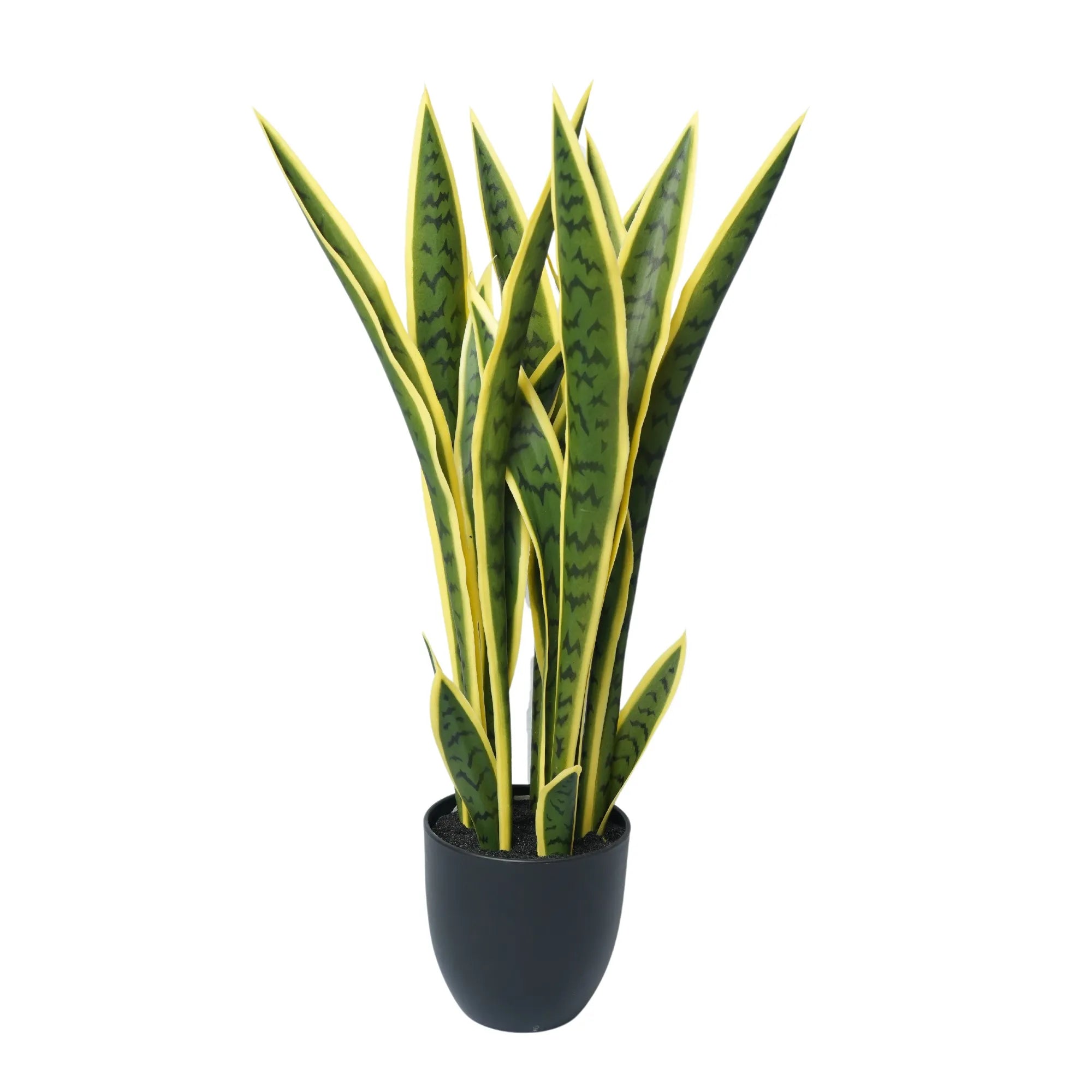 Artificial Mother in Law Tongue / Yellow Tongue Sansevieria UV Resistant 60CM - Designer Plants
