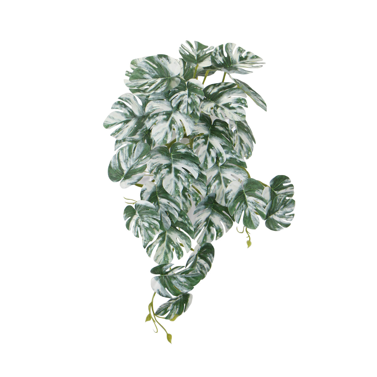 Artificial White & Green Monstera Albo Variegata 45cm - Designer Plants