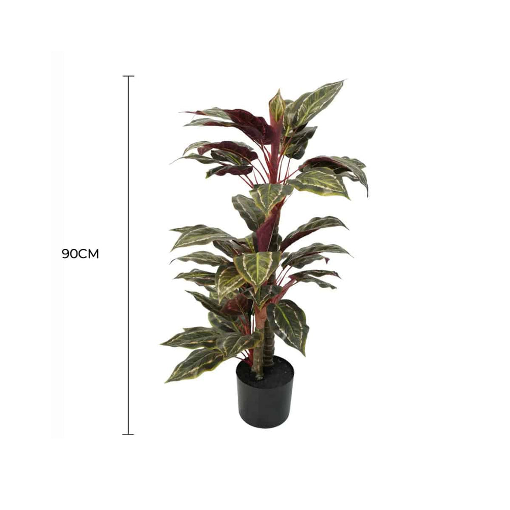 Potted plant with dimensions indicated on a white background