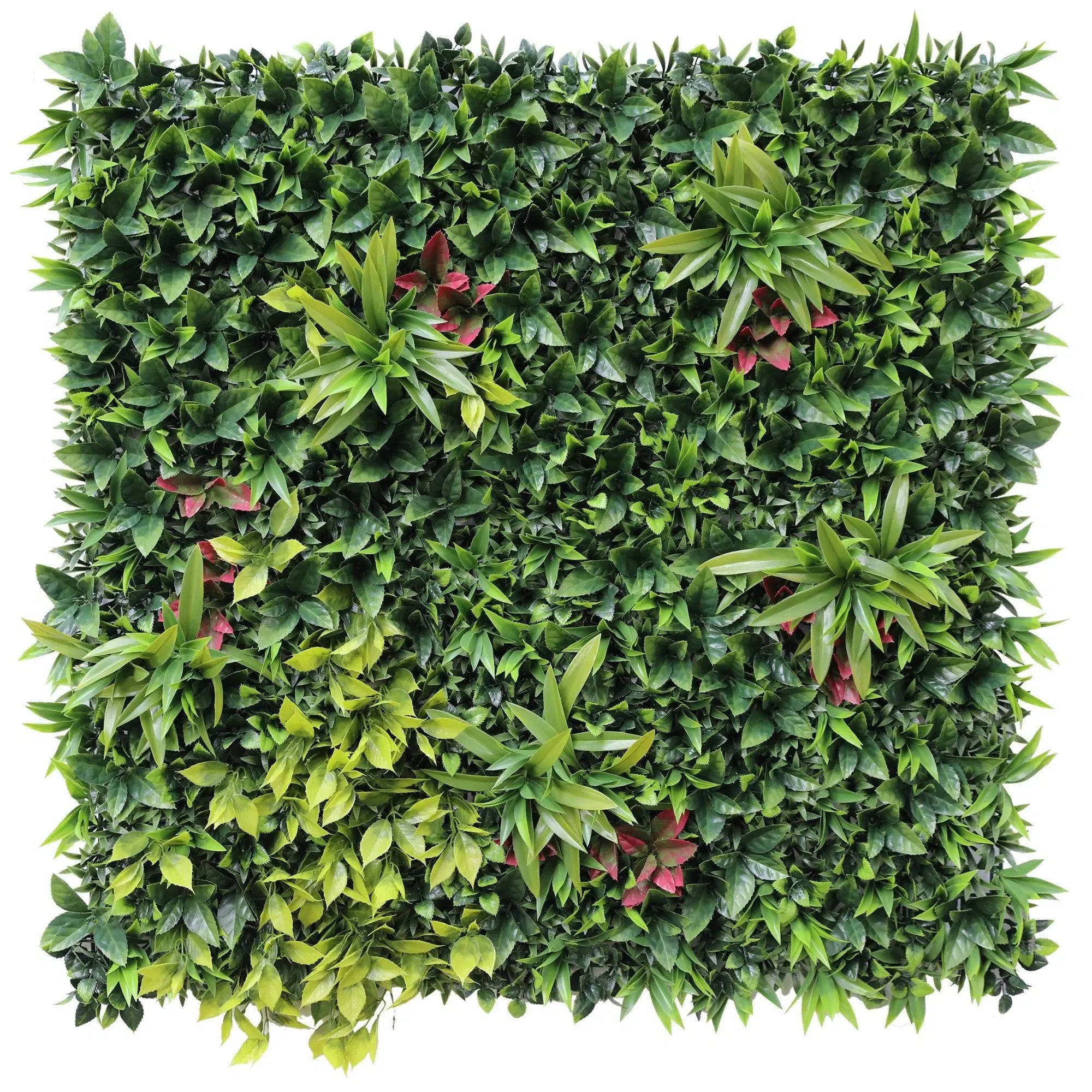 Green Meadows Vertical Garden UV STABILISED PREMIUM SAMPLE - Designer Plants