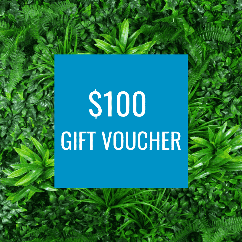 $100 Gift Voucher for artificial greenery and green walls - Designer Plants