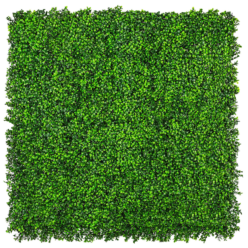 Luxury Deluxe Buxus (Bright) Hedge Panels UV Resistant 1m x 1m - Designer Plants
