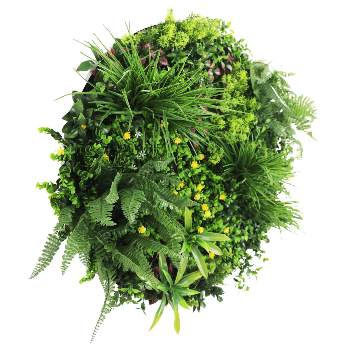 Slimline Artificial Green Wall Disc Art 80cm Country Fern UV Resistant (White) - Designer Plants