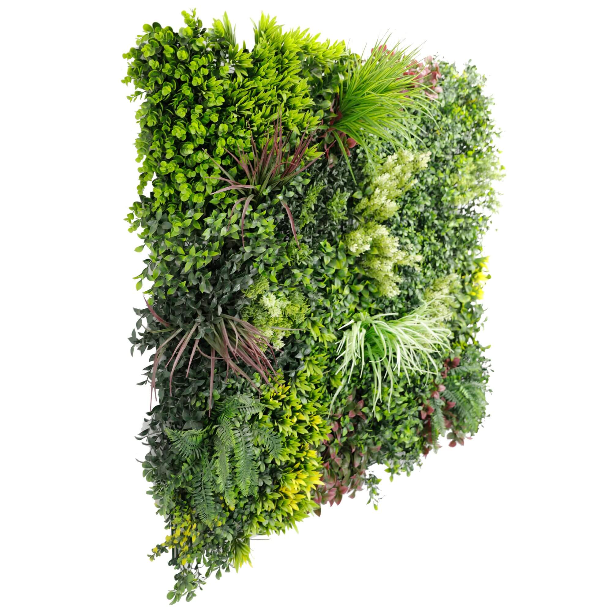 Luxury Evergreen Rainforest Recycled Vertical Garden / Green Wall UV Resistant Sample