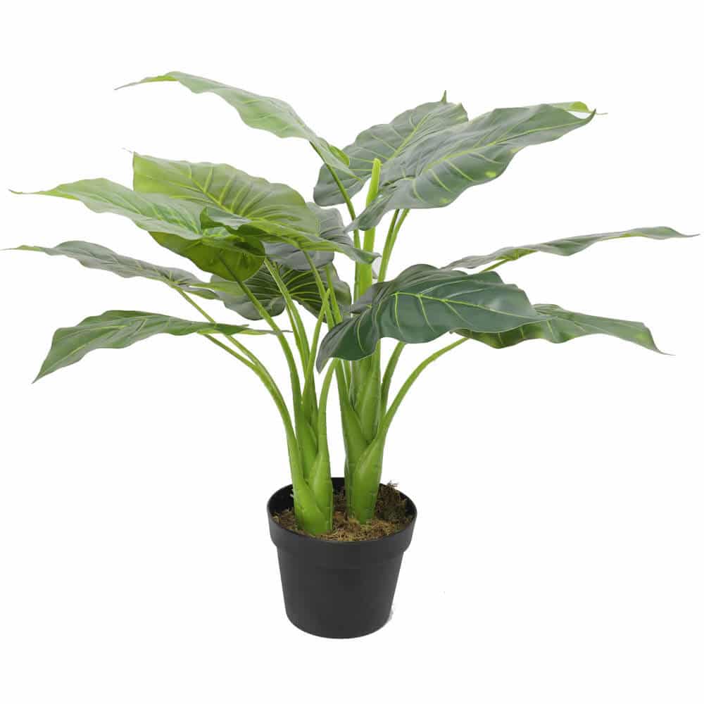 Artificial Potted Taro Plant / Elephant Ear 70cm - Designer Plants