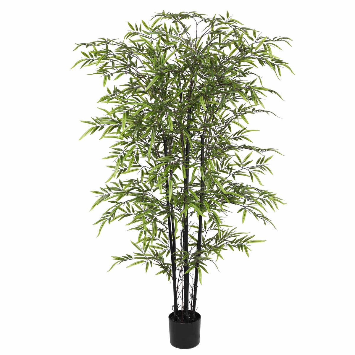 Premium Dense Artificial Black Bamboo 150cm - Designer Plants