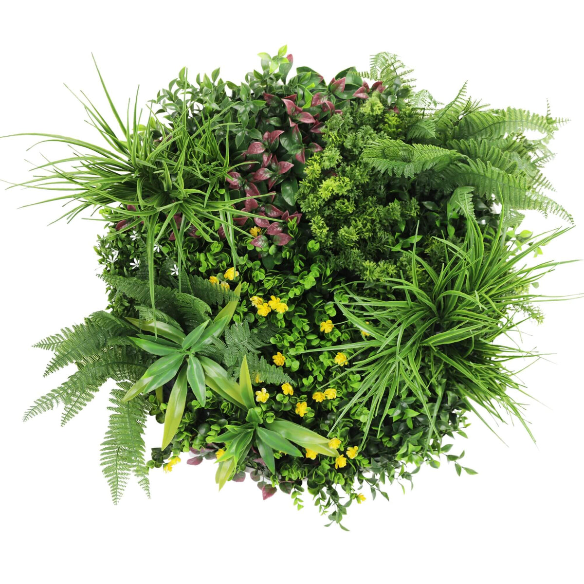 Slimline Artificial Green Wall Disc Art 60cm Country Fern UV Resistant (White) - Designer Plants