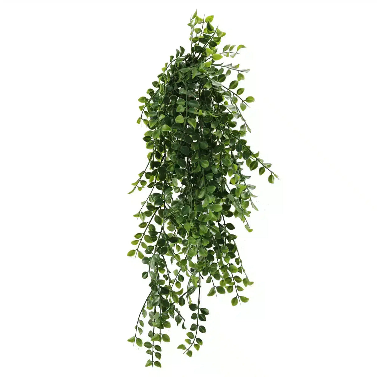 Artificial Hanging Dense Pearls (Nearly Natural) UV Resistant 80cm - Designer Plants