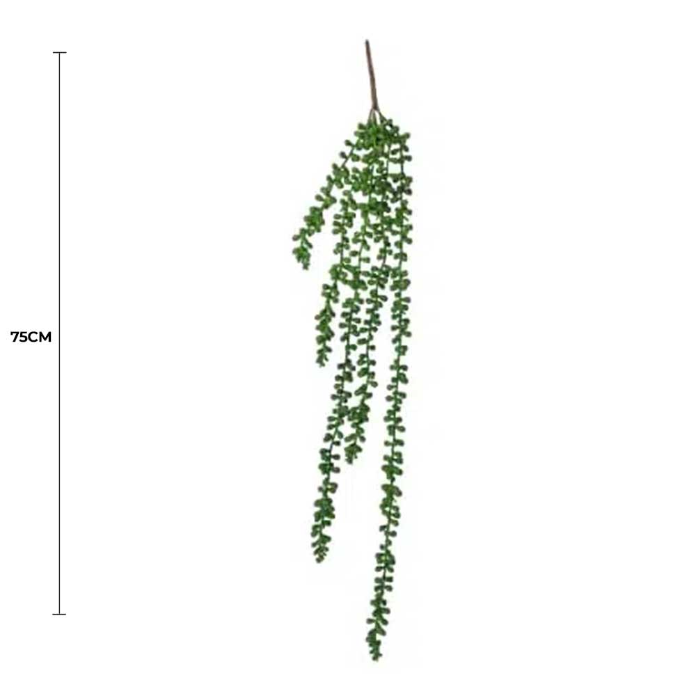 Hanging Succulent String of Pearl Beads 75cm