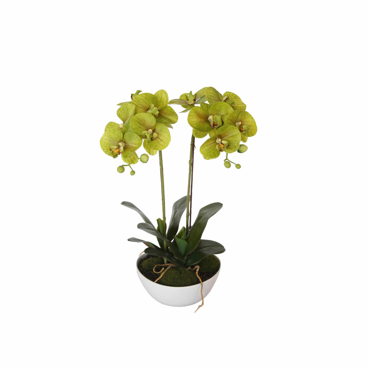 Two Stem Butterfly Artificial Orchid Cream 50cm - Designer Plants
