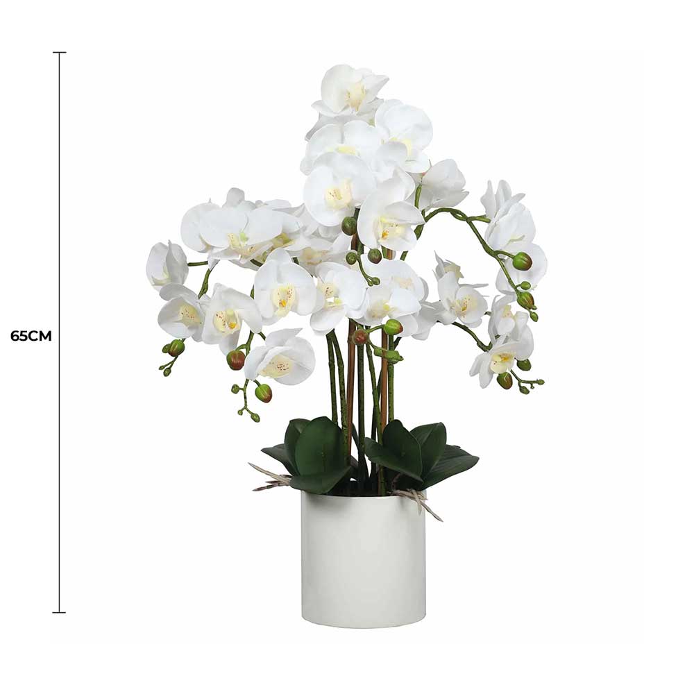 Large Multi-Stem White Potted Artificial Orchid 65cm