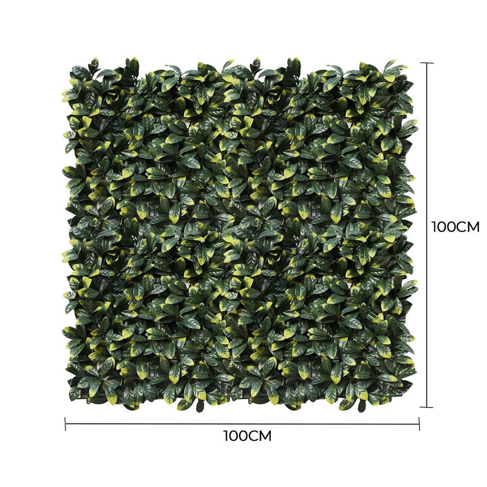 Square artificial green wall panel with dimensions on a white background