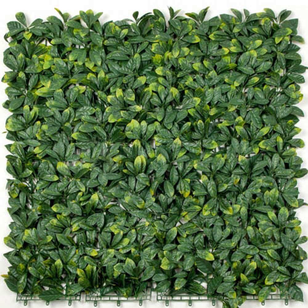 Laurel Hedge Panels UV Resistant Sample - Designer Plants