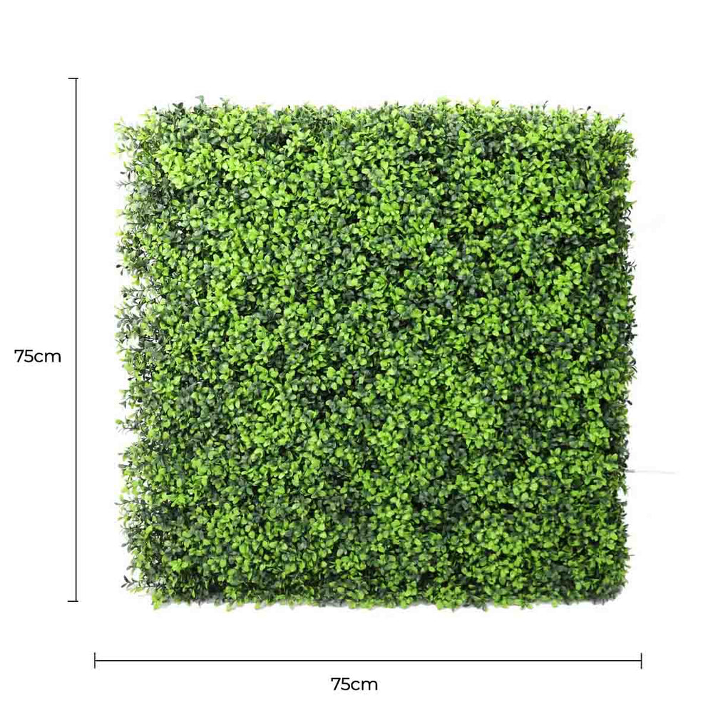 Luxury Deluxe Portable Buxus (Bright) Hedge UV Resistant 75cm x 75cm