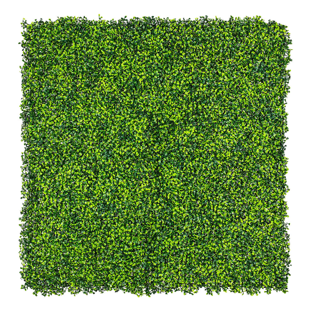 Mixed Boxwood Hedge Panels / Screens UV Resistant 1m x 1m - Designer Plants