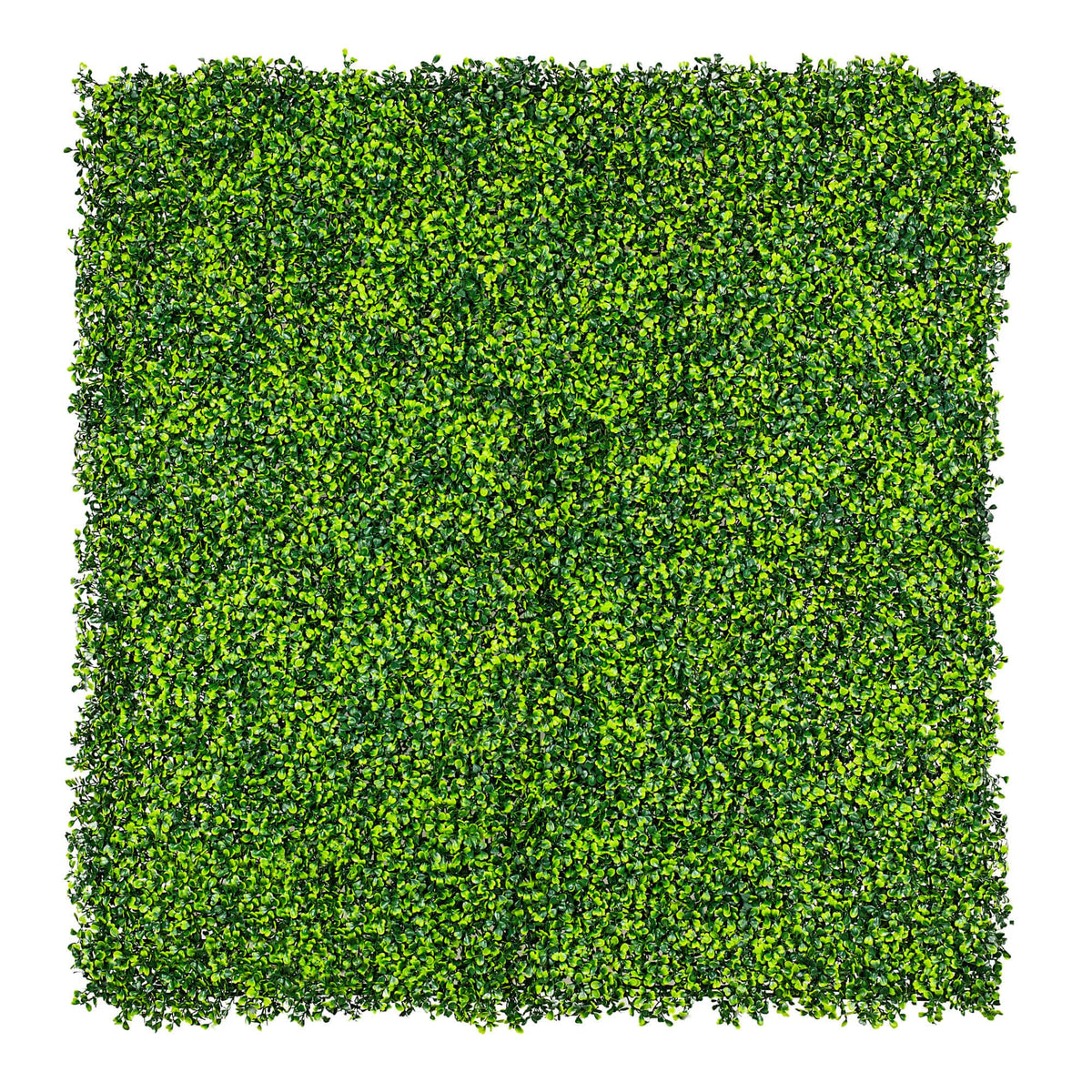 Mixed Boxwood Hedge Panels / Screens UV Resistant 1m x 1m - Designer Plants